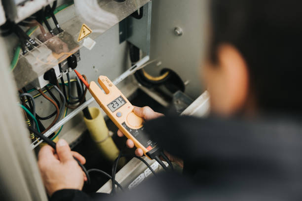 Best Electric Panel Repair  in Fabens, TX